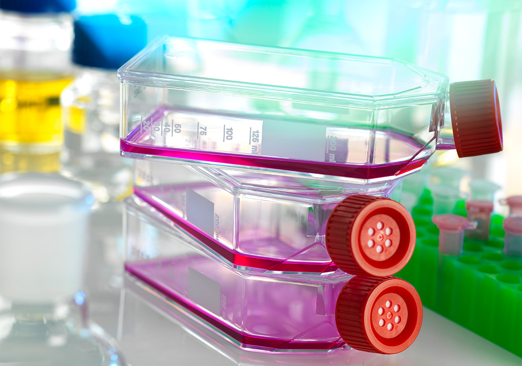 stem cell culture media