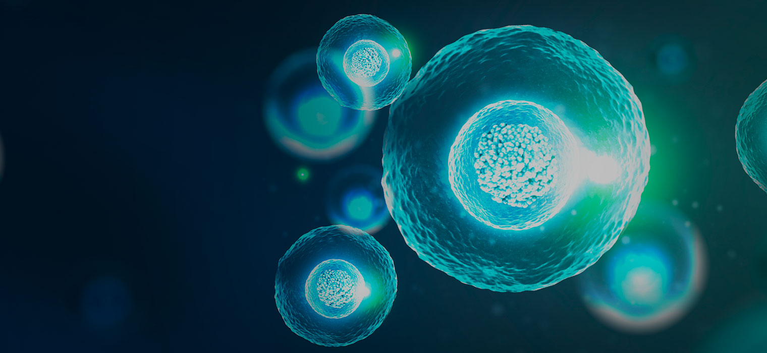 Top-quality of <br>biopharmaceutical R&D experts in Korea
